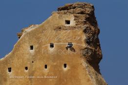 Image du Maroc Professionnelle de  Muraille près du minaret de la mosquée (Tour Hassan) qui fut construite à la fin du XIIe siècle par le Sultan Yacoub el Mansour (dynastie Almohade) désireux de construire la plus grande mosquée du monde doté de 400 colonnes, la construction n’a pas été achevé suite à la mort du sultan en 1199, La tour Hassan est le symbole de Rabat son esplanade abrite le Mausolée Mohammed V de Rabat, Jeudi 20 Octobre 2011. (Photo / Abdeljalil Bounhar)


 